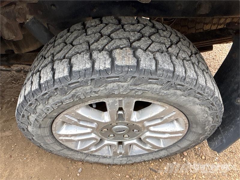 Ford F-150 Platinum 4x4 Crew Cab Pickup Furgoni altro
