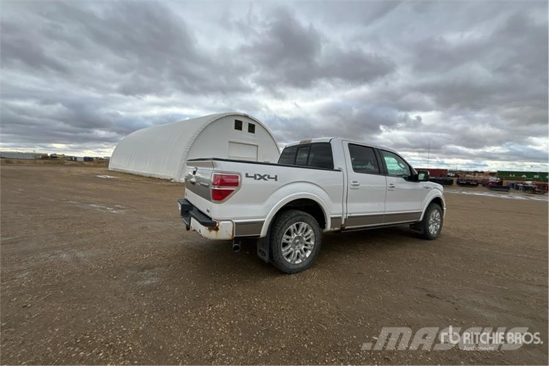 Ford F-150 Platinum 4x4 Crew Cab Pickup Furgoni altro