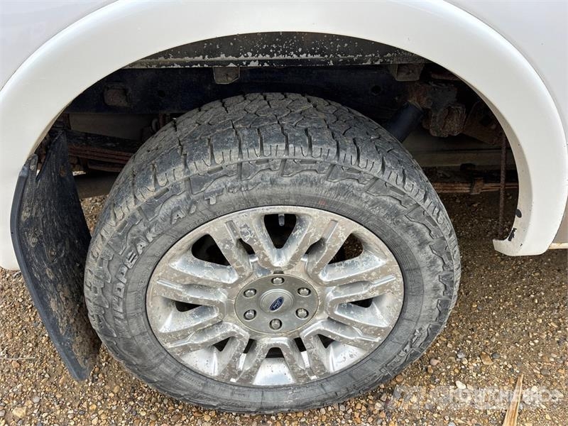 Ford F-150 Platinum 4x4 Crew Cab Pickup Furgoni altro