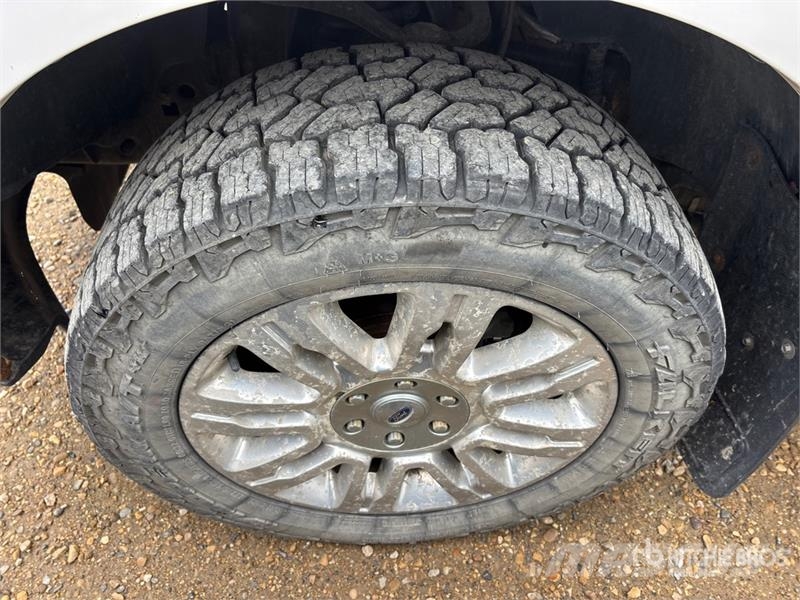 Ford F-150 Platinum 4x4 Crew Cab Pickup Furgoni altro