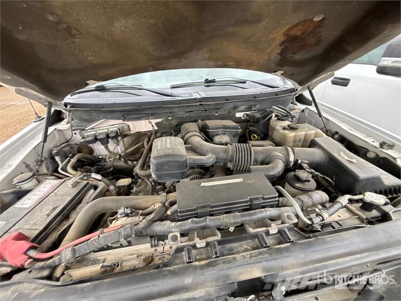 Ford F-150 Platinum 4x4 Crew Cab Pickup Furgoni altro