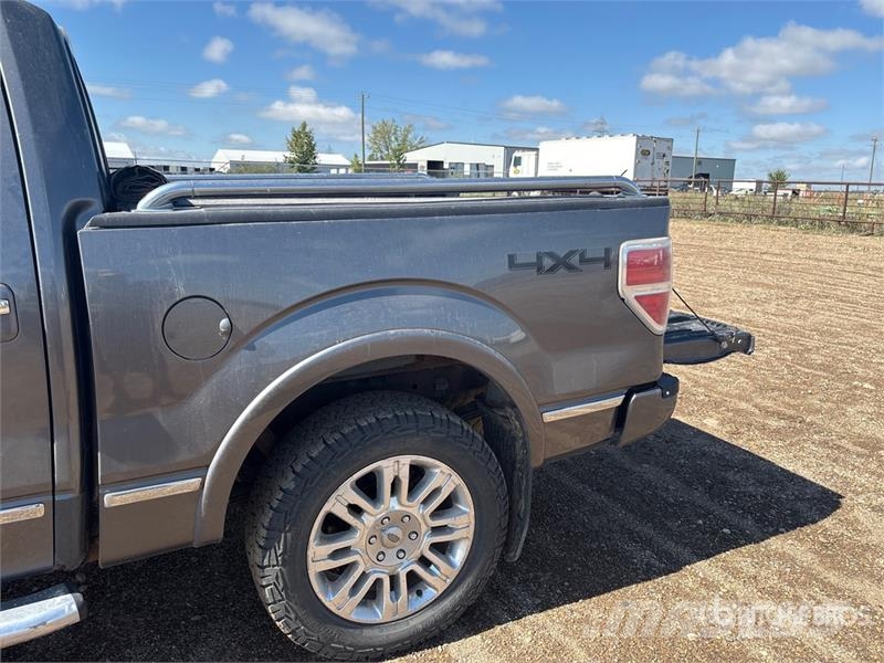 Ford F-150 Platinum 4x4 Crew Cab Pickup Other