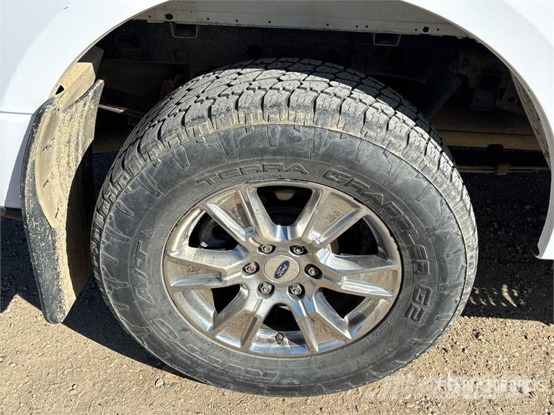 Ford F-150 XL 4x4 Crew Cab Pickup أخرى