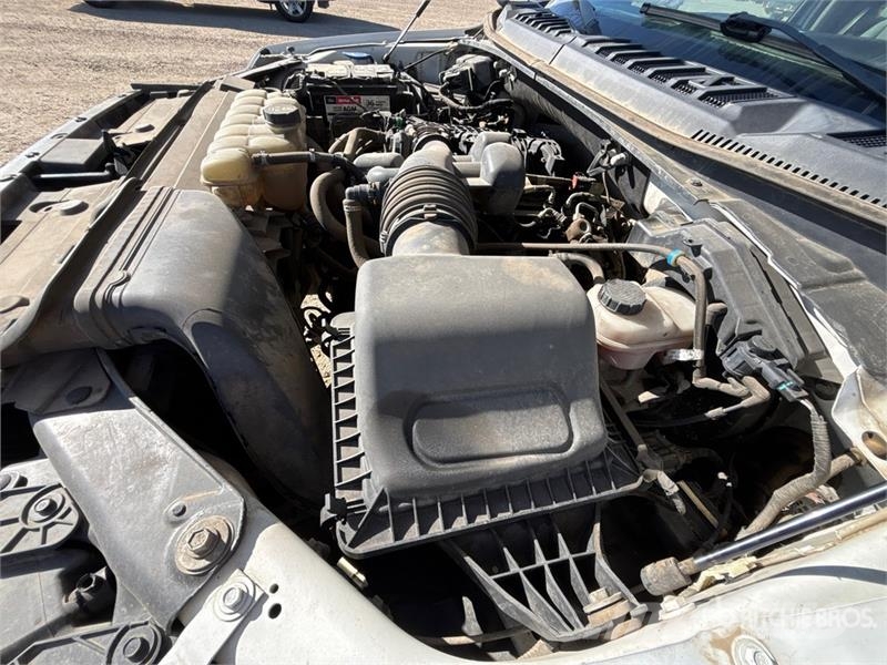 Ford F-150 XL 4x4 Crew Cab Pickup أخرى