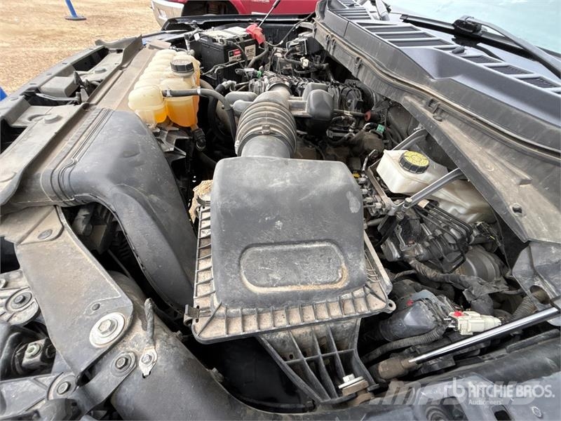 Ford F-150 XL 4x4 Crew Cab Pickup أخرى