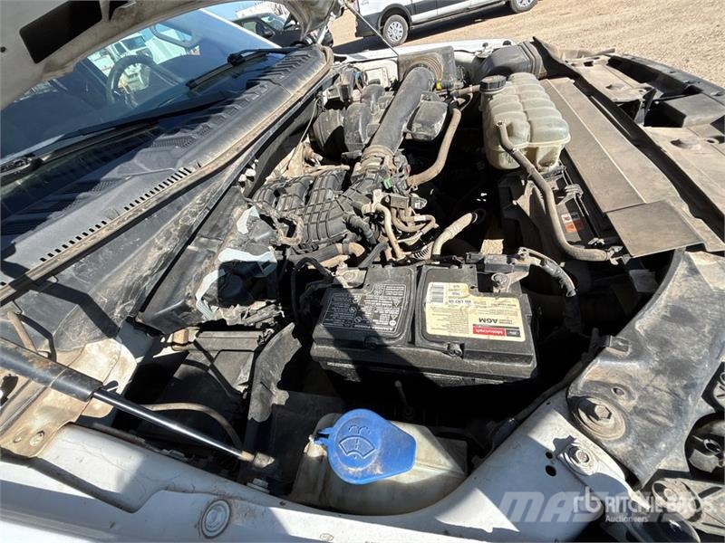 Ford F-150 XL 4x4 Crew Cab Pickup أخرى