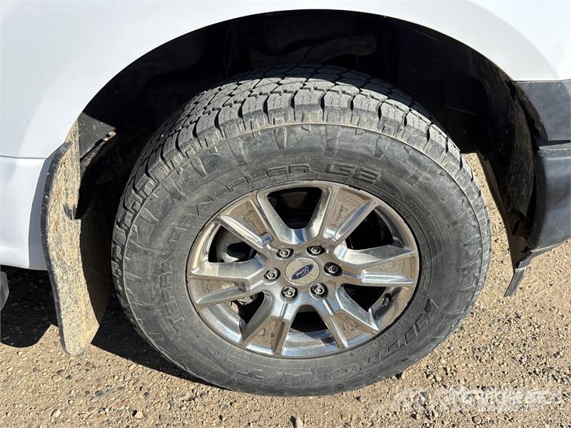 Ford F-150 XL 4x4 Crew Cab Pickup أخرى