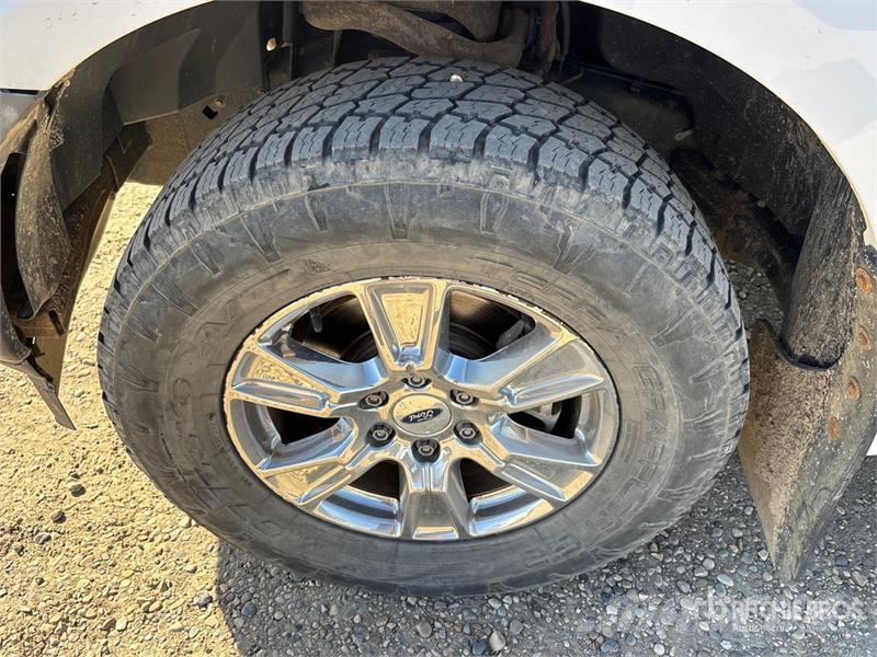 Ford F-150 XL 4x4 Crew Cab Pickup أخرى