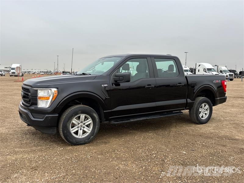 Ford F-150 XL 4x4 Crew Cab Pickup أخرى