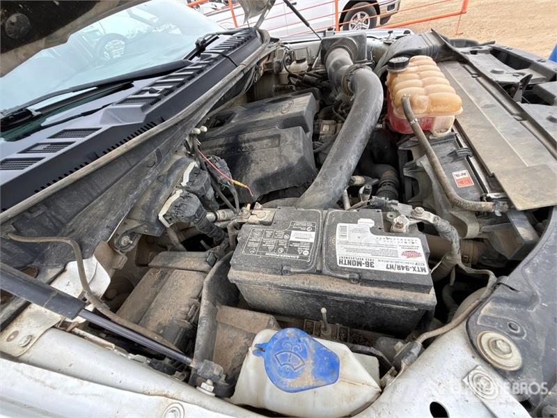 Ford F-150 XLT 4x4 Crew Cab Pickup أخرى