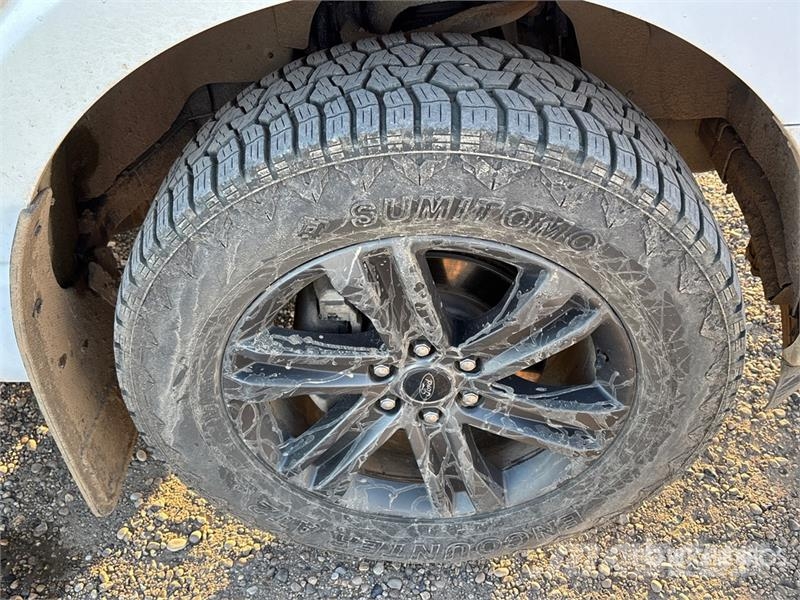 Ford F-150 XLT 4x4 Crew Cab Pickup أخرى