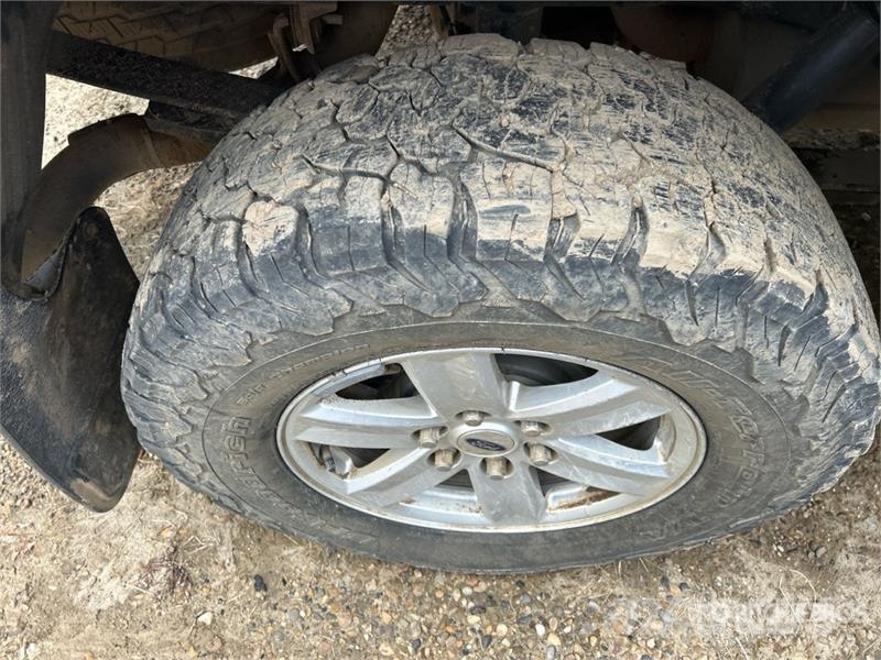 Ford F-150 XLT 4x4 Crew Cab Pickup 其他