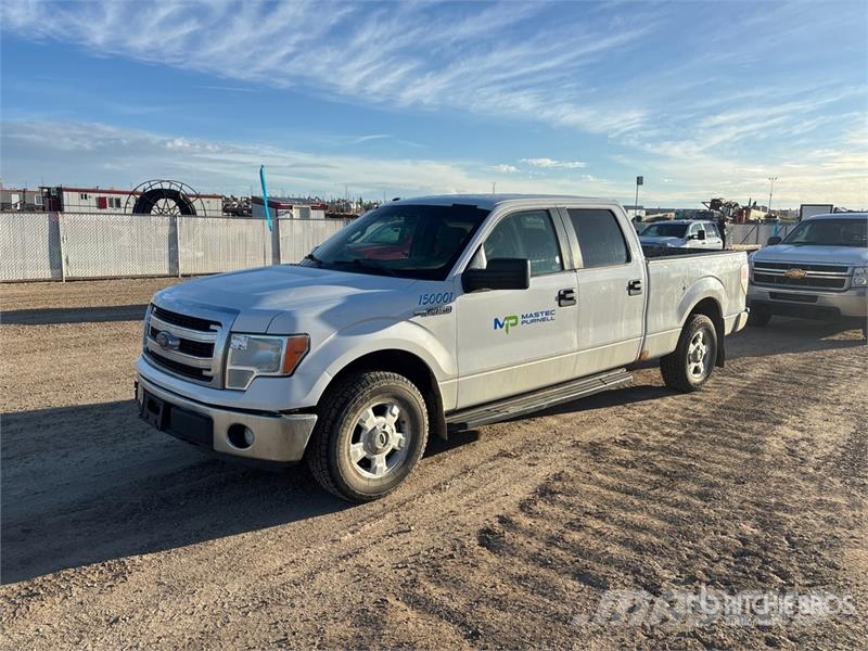 Ford F-150 XLT 4x4 Crew Cab Pickup Furgoni altro