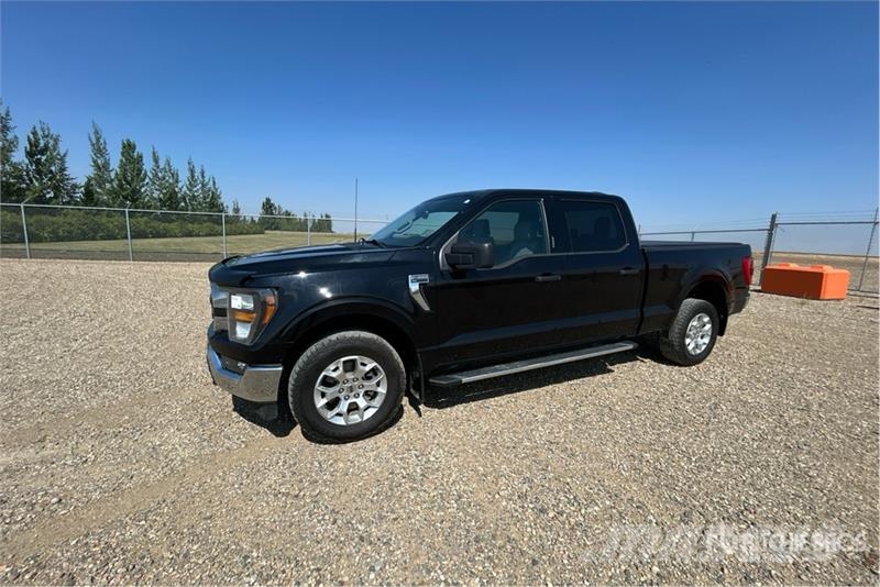 Ford F-150 XLT 4x4 Crew Cab Pickup Ostalo