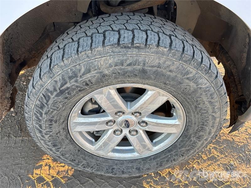 Ford F-150 XLT 4x4 Crew Cab Pickup أخرى