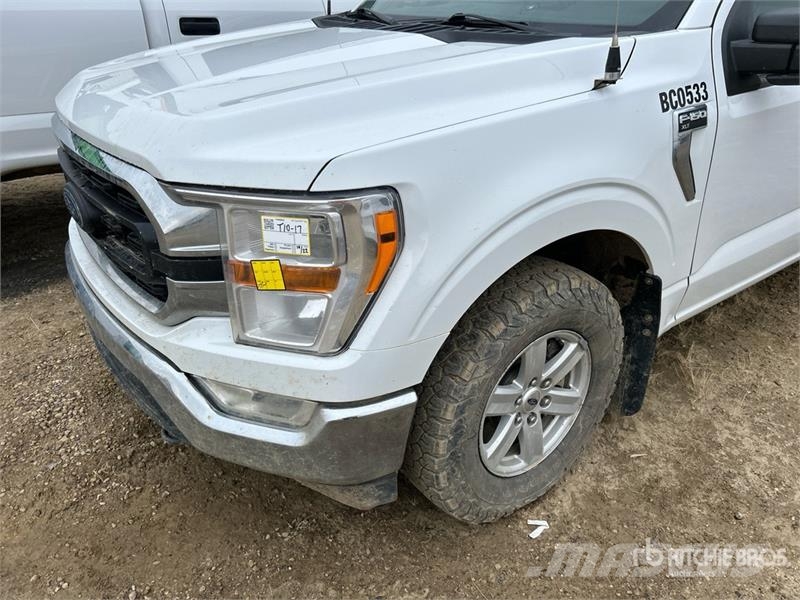 Ford F-150 XLT 4x4 Crew Cab Pickup 其他