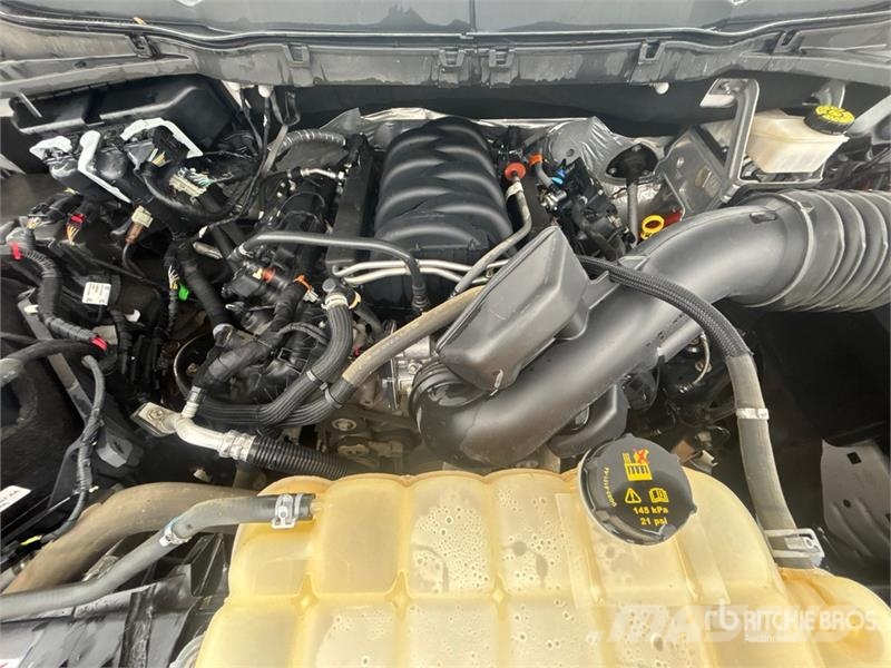 Ford F-150 XLT 4x4 Crew Cab Pickup Andere Transporter