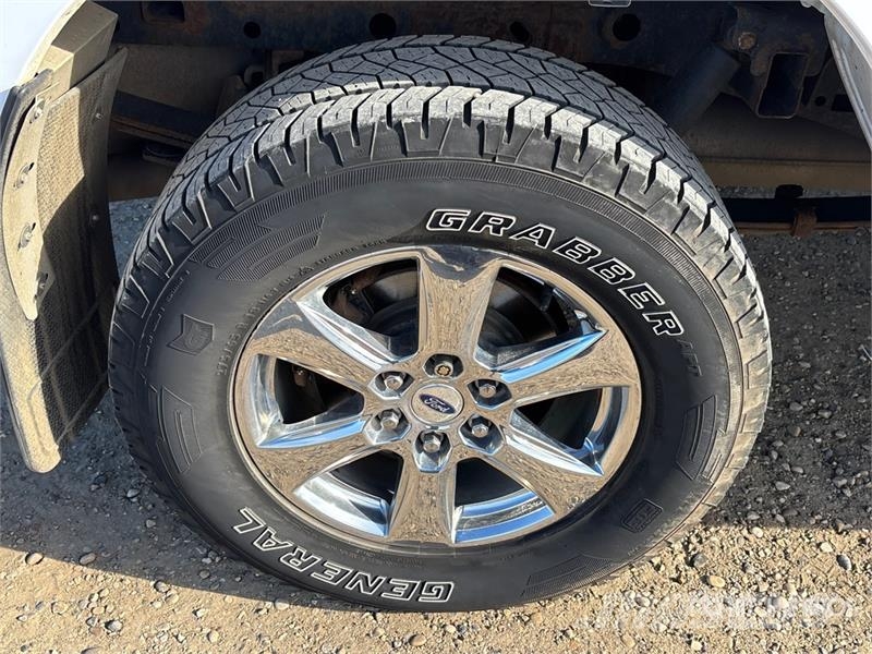 Ford F-150 XLT 4x4 Crew Cab Pickup Andere Transporter