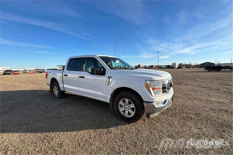 Ford F-150 XLT 4x4 Crew Cab Pickup Furgoni altro