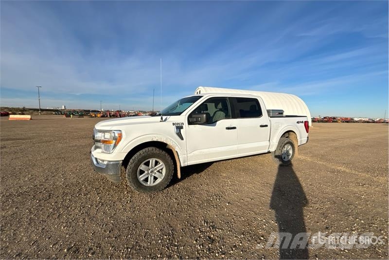 Ford F-150 XLT 4x4 Crew Cab Pickup Furgoni altro