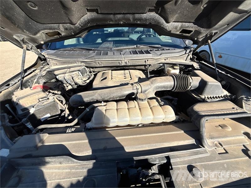 Ford F-150 XLT 4x4 Crew Cab Pickup Furgoni altro