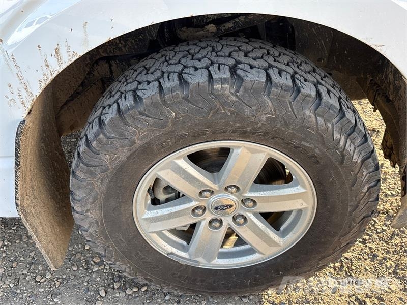 Ford F-150 XLT 4x4 Crew Cab Pickup Furgoni altro