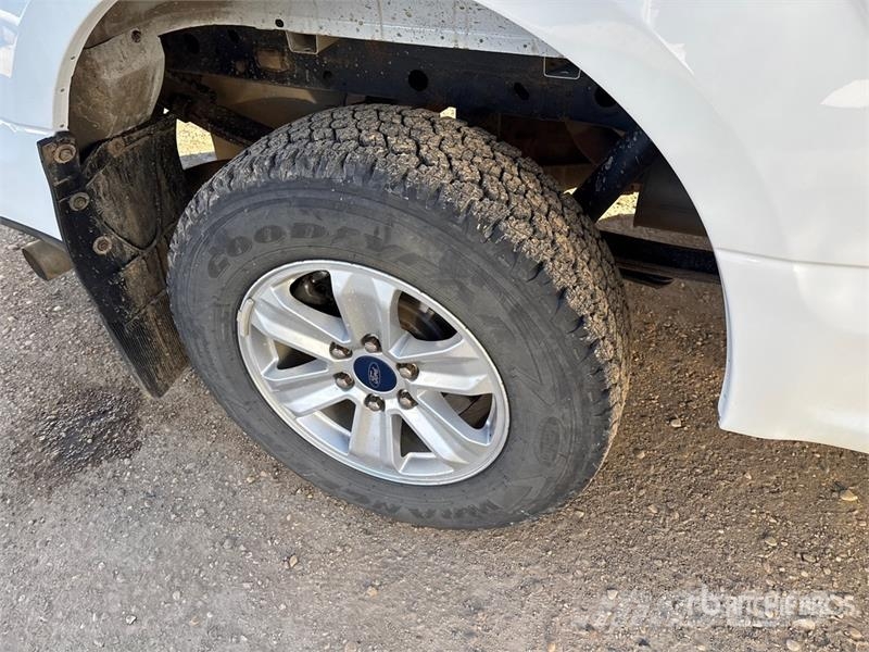 Ford F-150 XLT 4x4 Crew Cab Pickup 其他