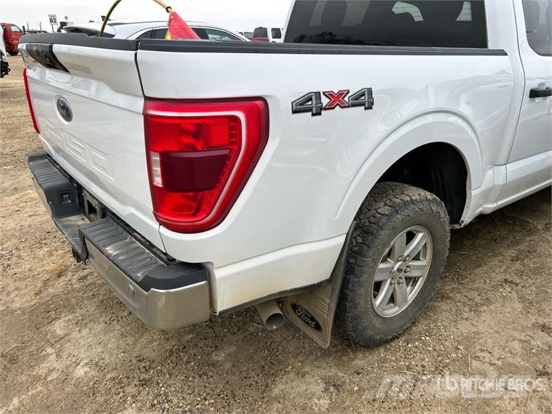 Ford F-150 XLT 4x4 Crew Cab Pickup 其他