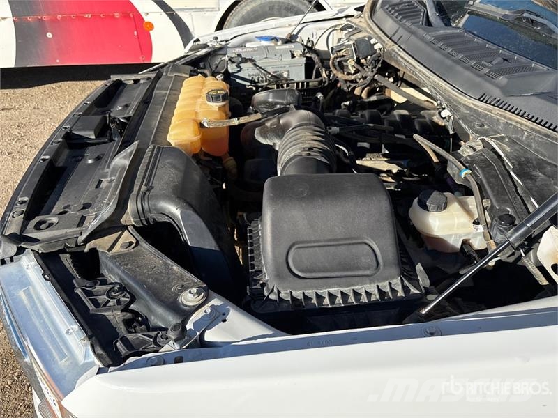 Ford F-150 XLT 4x4 Crew Cab Pickup 其他