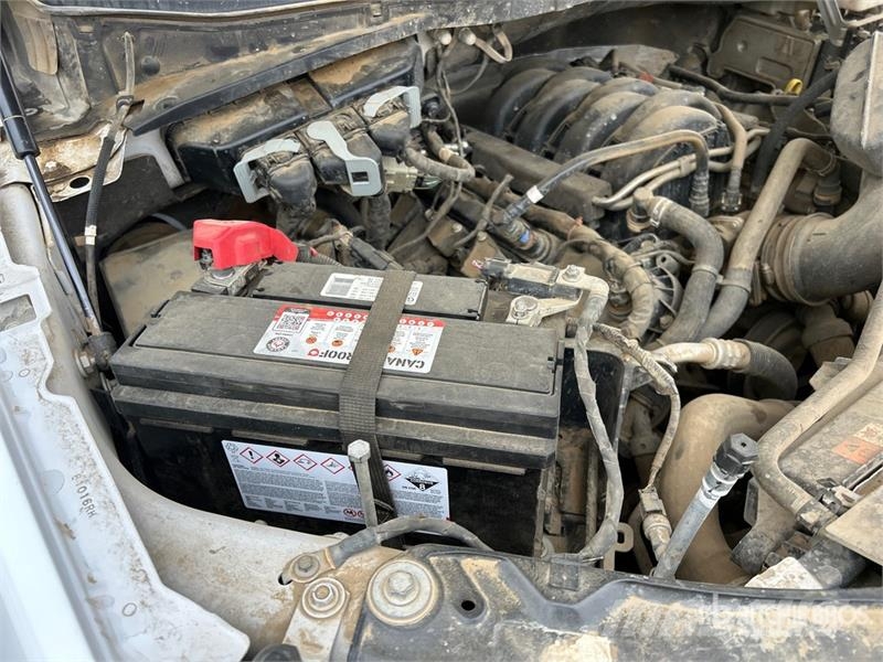 Ford F-150 XLT 4x4 Crew Cab Pickup 其他