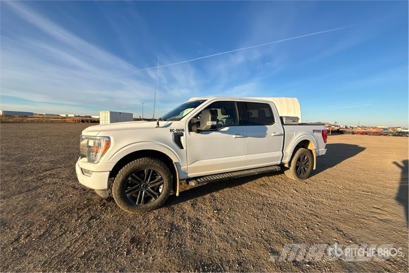 Ford F-150 XLT 4x4 Crew Cab Pickup أخرى