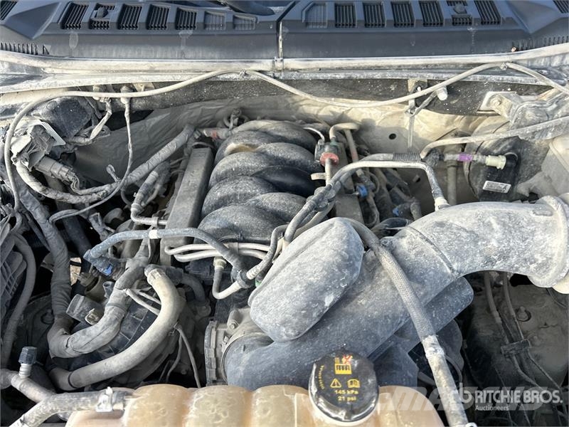 Ford F-150 XLT 4x4 Crew Cab Pickup أخرى