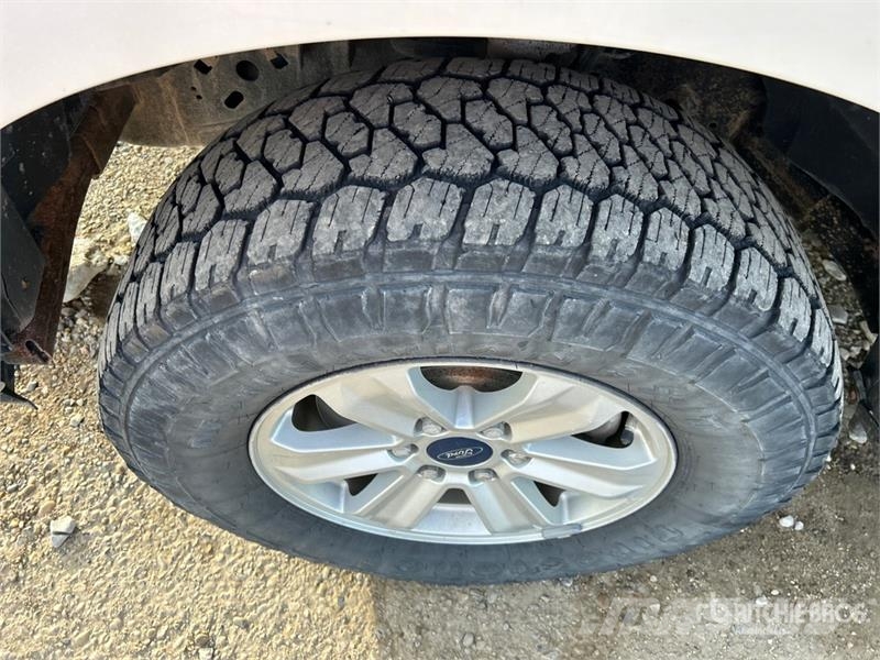 Ford F-150 XLT 4x4 Crew Cab Pickup أخرى