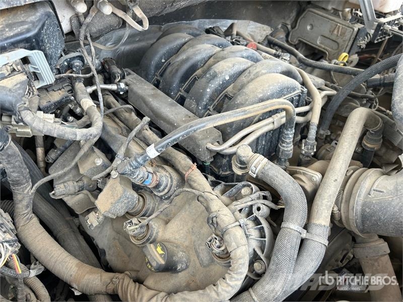 Ford F-150 XLT 4x4 Crew Cab Pickup 其他