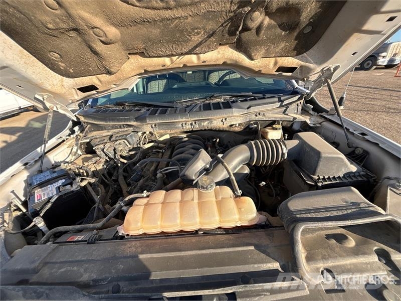 Ford F-150 XLT 4x4 Crew Cab Pickup Furgoni altro