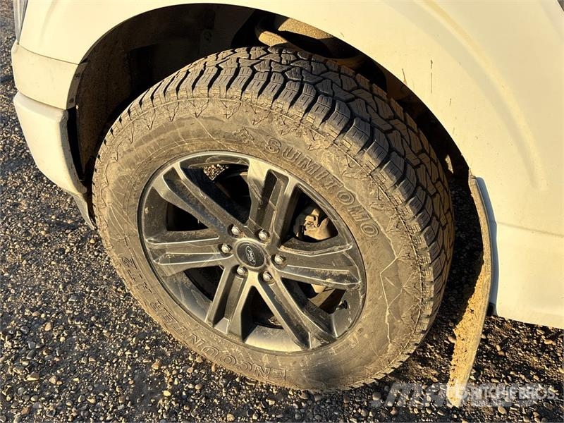 Ford F-150 XLT 4x4 Crew Cab Pickup أخرى