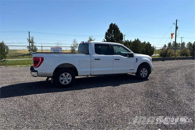 Ford F-150 XLT 4x4 Crew Cab Pickup Otros