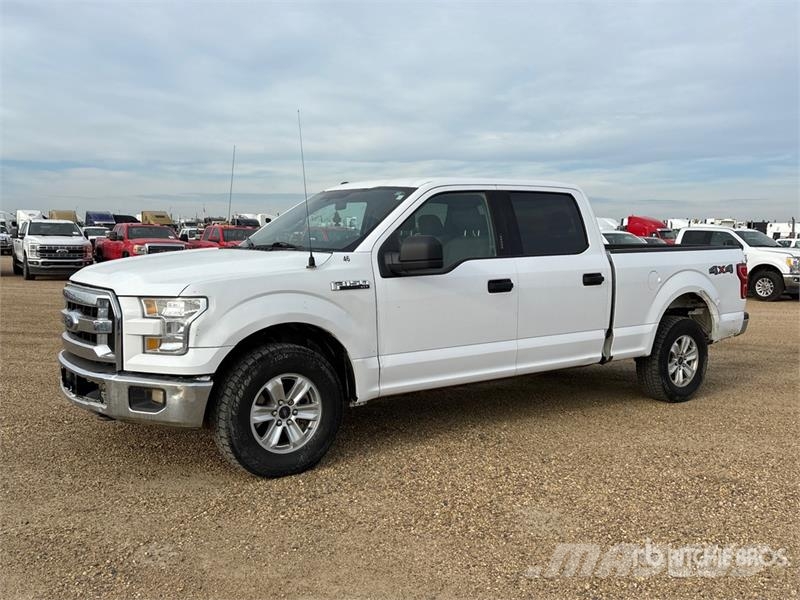 Ford F-150 XLT 4x4 Crew Cab Pickup Прочие фургоны
