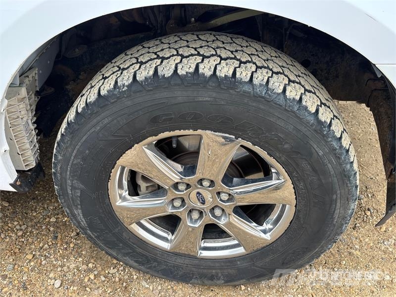 Ford F-150 XLT 4x4 Crew Cab Pickup أخرى