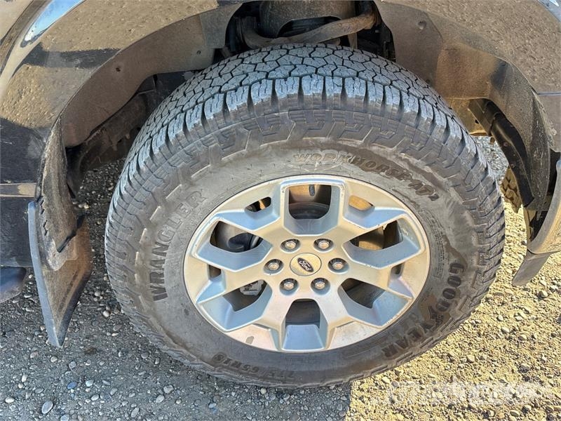 Ford F-150 XLT 4x4 Crew Cab Pickup Furgoni altro
