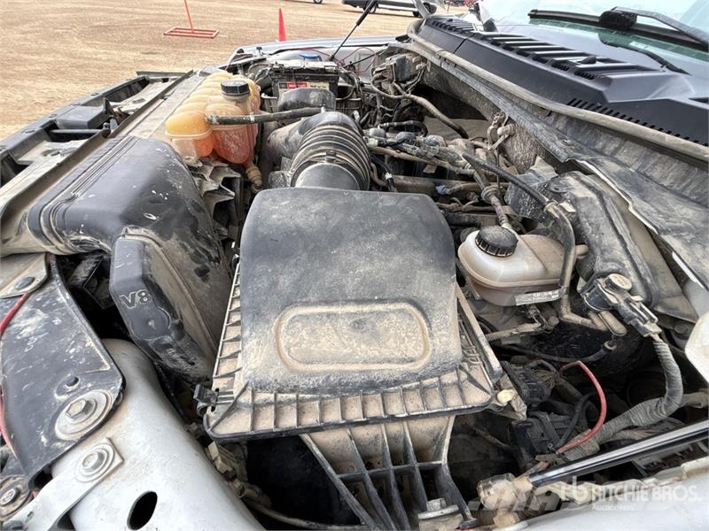 Ford F-150 XLT 4x4 Crew Cab Pickup أخرى