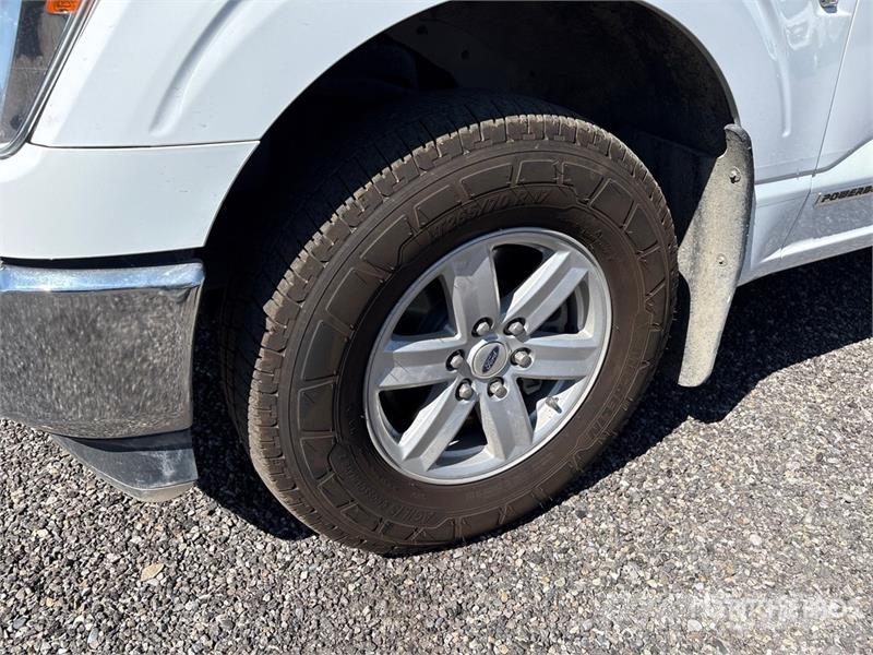 Ford F-150 XLT 4x4 Crew Cab Pickup Otros