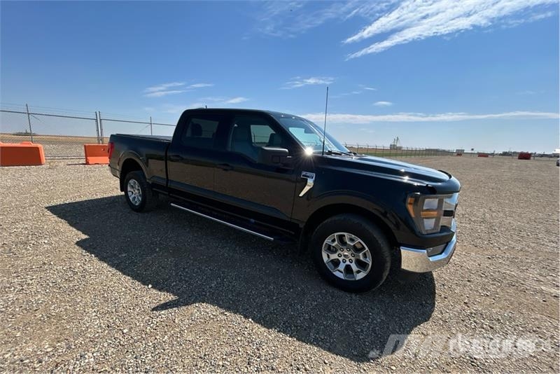 Ford F-150 XLT 4x4 Crew Cab Pickup Ostalo