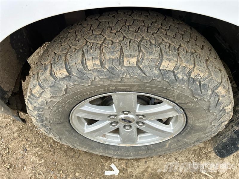 Ford F-150 XLT 4x4 Crew Cab Pickup 其他