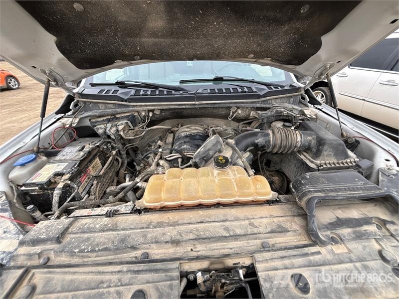 Ford F-150 XLT 4x4 Crew Cab Pickup أخرى