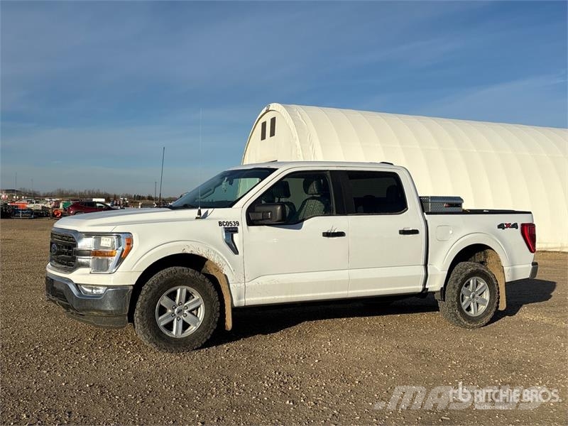 Ford F-150 XLT 4x4 Crew Cab Pickup Furgoni altro