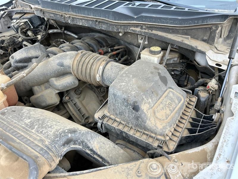 Ford F-150 XLT 4x4 Crew Cab Pickup 其他