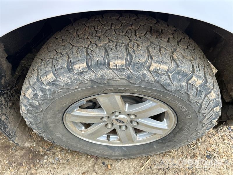 Ford F-150 XLT 4x4 Crew Cab Pickup 其他