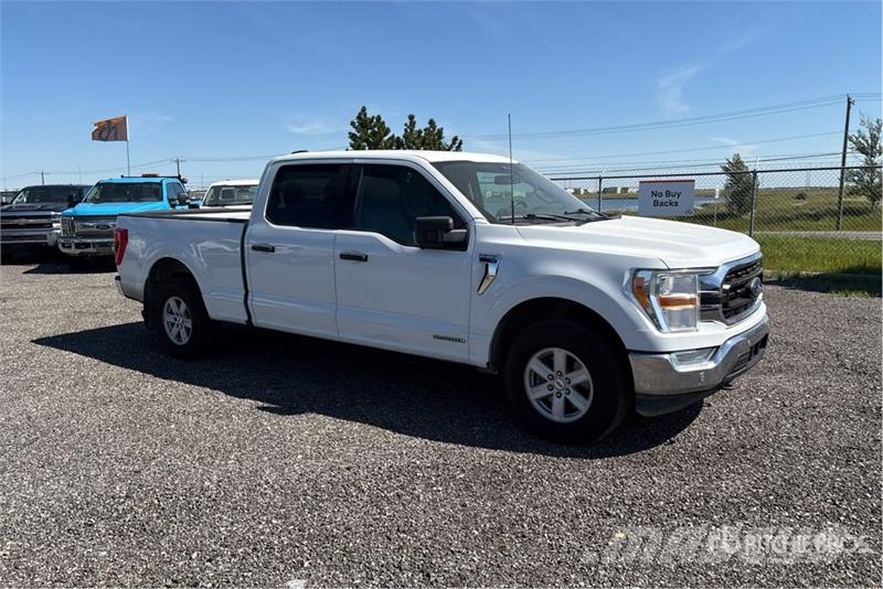 Ford F-150 XLT 4x4 Crew Cab Pickup Otros