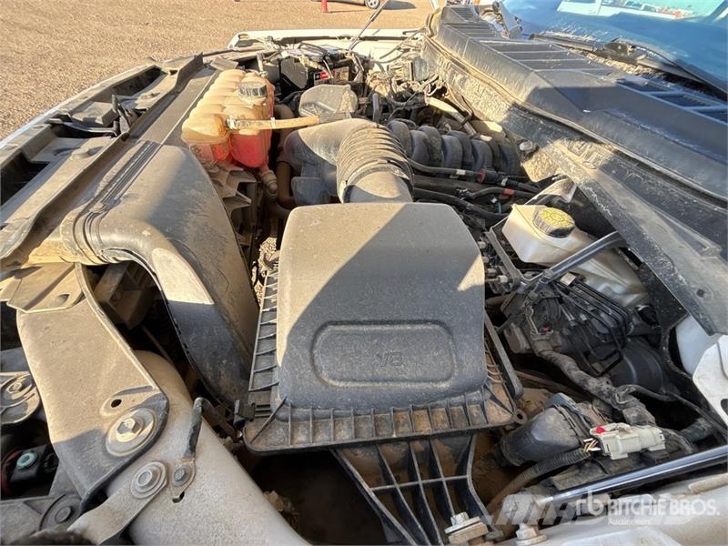 Ford F-150 XLT 4x4 Crew Cab Pickup Furgoni altro